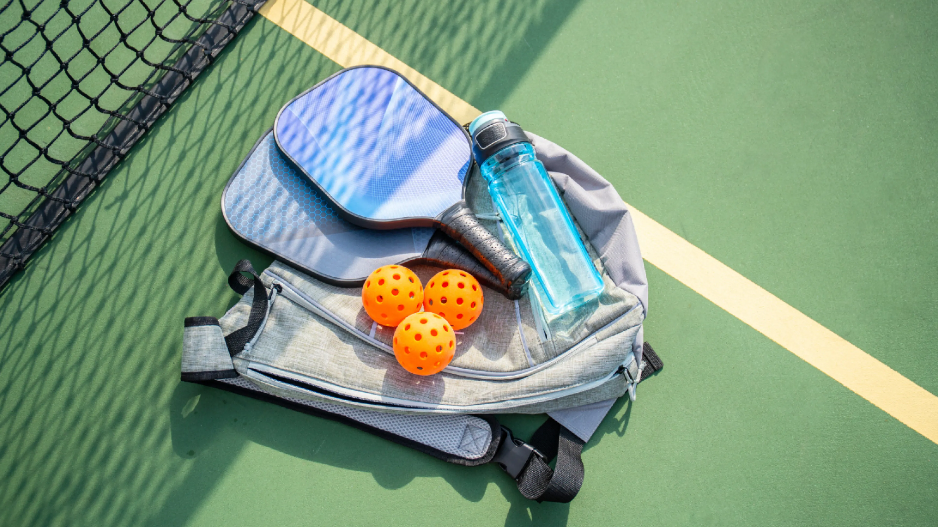 Photo of courts and pickleball