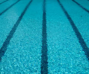 Adult Swim
